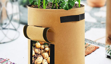 What Size Grow Bag Do I Use?